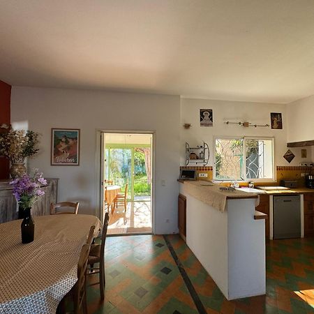 La Boissetane, Maison Provencale Avec Piscine Et Jardin, Au Pied Du Luberon Saint-Martin-de-Castillon Exteriér fotografie