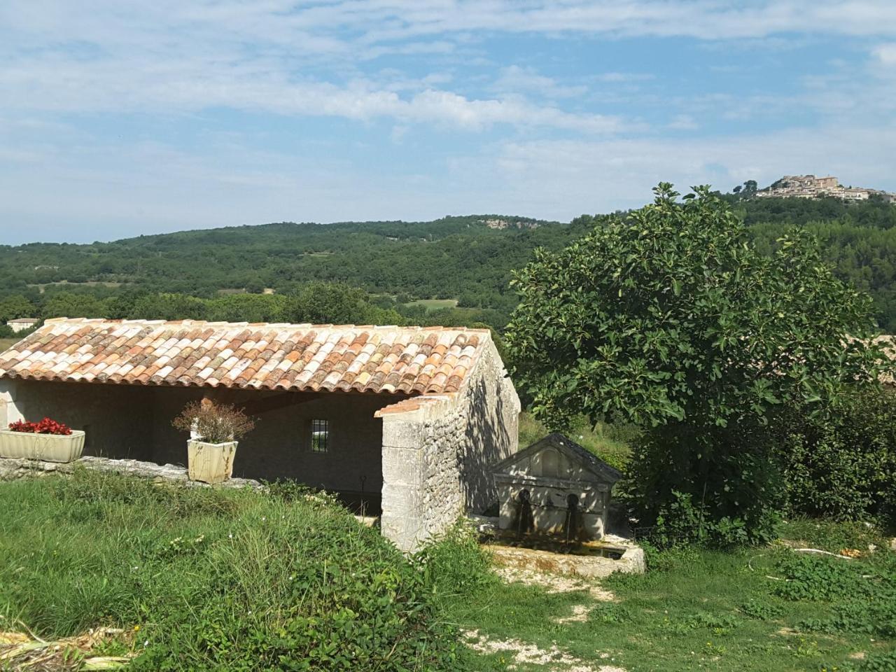 La Boissetane, Maison Provencale Avec Piscine Et Jardin, Au Pied Du Luberon Saint-Martin-de-Castillon Exteriér fotografie